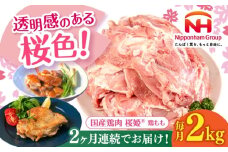 【全2回定期便】桜姫 鶏もも 2kg《厚真町》【東日本フード株式会社】 桜姫 国産鶏肉 鶏肉 鶏 とり肉 もも もも肉 鶏もも 冷凍 北海道 [AXBM023]