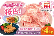 【全6回定期便】桜姫 鶏もも肉 計4kg（2kg×2パック）《厚真町》【東日本フード株式会社】 桜姫 国産鶏肉 鶏肉 鶏 とり肉 もも もも肉 鶏もも肉 冷凍 北海道 [AXBM032]
