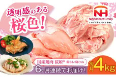 【全6回定期便】桜姫 鶏もも＆鶏むねセット 計4kg （鶏もも・鶏むね 各2kg）《厚真町》【東日本フード株式会社】 桜姫 鶏肉 鶏 とり肉 もも肉 鶏もも むね肉 鶏むね 冷凍 北海道 [AXBM046]