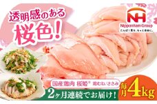 【全2回定期便】桜姫ヘルシーセット 計4kg（鶏むね・ささみ 各2kg）《厚真町》【東日本フード株式会社】 桜姫 国産鶏肉 鶏肉 鶏 むね肉 ムネ ささみ ささみ肉 冷凍 北海道 [AXBM058]