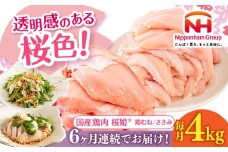 【全6回定期便】桜姫ヘルシーセット 計4kg（鶏むね・ささみ 各2kg）《厚真町》【東日本フード株式会社】 桜姫 国産鶏肉 鶏肉 鶏 むね肉 ムネ ささみ ささみ肉 冷凍 北海道 [AXBM060]