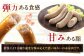 ウインナー ハーブ レモン 酸味 大人  大容量 北海道 冷凍 ポーク 無添加 