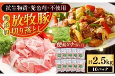 放牧豚 切落し 計2.5kg（250g×10）《厚真町》　【ファーマーズファクトリー株式会社】 [AXBA120]