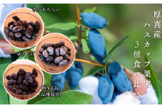 【9月以降順次発送】北海道厚真町産 冷凍ハスカップ 3種食べ比べセット 計1kg《厚真町》　【とまこまい広域農業協同組合】　ハスカップ ゆうしげ あつまみらい R7年産 フルーツ 果物 冷凍 北海道 [AXAB051]