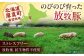 ベーコン セット 詰め合わせ 小分け 冷凍配送 北海道 