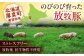 しゃぶしゃぶ 豚肉 豚バラ ロース 詰め合わせ 小分け 冷凍配送 北海道 