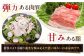 しゃぶしゃぶ 豚肉 豚バラ ロース 詰め合わせ 小分け 冷凍配送 北海道 