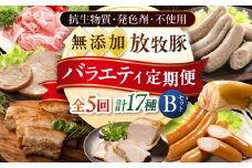 【全5回定期便】放牧豚 バラエティ定期便 計17種（ソーセージ ハム ベーコン 精肉）Bセット 《厚真町》【ファーマーズファクトリー株式会社】 [AXBA162]
