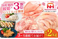 【全3回定期便】桜姫 バラエティ定期便《厚真町》【東日本フード株式会社】  [AXBM128] 鶏肉 国産 日本産 冷凍 モモ ムネ ささみ 鶏 トリ 肉 セット 人気 おすすめ バラエティ 月替り 毎月 3カ月 冷凍 北海道