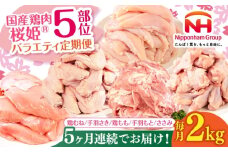 【全5回定期便】桜姫 バラエティ定期便 【東日本フード株式会社】[AXBM129] 冷凍 国産 国内産 鶏肉 鶏肉 鶏 とり肉 もも肉 むね肉 手羽 トリ ささみ セット 毎月 5カ月 連続 北海道