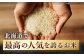 玄米 お米 ななつぼし ブランド米 特A ご飯 30kg 北海道