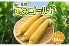 北海道産 とうもろこし 恵味 ゴールド 2L 18本 8月中旬～9月末頃お届け 朝採り めぐみ トウモロコシ コーン スイートコーン 甘い 新鮮 先行受付 夏 野菜 産地直送 送料無料 塩田農園 北海道 洞爺湖町