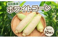北海道産 白い とうもろこし ピュア ホワイト L 10本 8月中旬～下旬お届け 朝採り トウモロコシ コーン 北海道産 甘い ピュアホワイト 新鮮 先行受付 夏 野菜 産地直送 塩田農園 送料無料 北海道 洞爺湖町