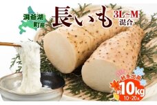 北海道産 長いも 秋冬出荷 約10kg 2024年11月中旬～2025年3月下旬お届け 長芋 ながいも とろろ 農作物 野菜 新鮮 根菜 新物 山かけ 産地直送 お取り寄せ 送料無料 冷蔵 北海道 洞爺湖町