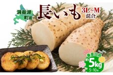 北海道産 長いも 春夏出荷 約5kg 2025年5月上旬～7月下旬頃お届け 長芋 ながいも とろろ 農作物 野菜 新鮮 根菜 山かけ 産地直送 お取り寄せ 送料無料 冷蔵 北海道 洞爺湖町