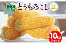 北海道産 とうもろこし 2L 約10kg 20本前後 2025年8月下旬～9月上旬頃お届け とうきび 新鮮 旬 トウモロコシ スイートコーン 産地直送 送料無料 北海道 洞爺湖町