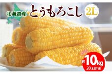 北海道産 とうもろこし 2L 約10kg 20本前後 2025年8月下旬～9月上旬頃お届け とうきび 新鮮 旬 トウモロコシ スイートコーン 産地直送 送料無料 北海道 洞爺湖町