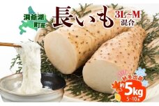 北海道産 長いも 秋冬出荷 約5kg 2024年11月中旬～2025年3月下旬お届け 長芋 ながいも とろろ 農作物 野菜 新鮮 根菜 新物 山かけ 産地直送 お取り寄せ 送料無料 冷蔵 北海道 洞爺湖町