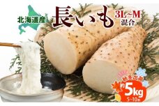 北海道産 長いも 秋冬出荷 約5kg 2024年11月中旬～2025年3月下旬お届け 長芋 ながいも とろろ 農作物 野菜 新鮮 根菜 新物 山かけ 産地直送 お取り寄せ 送料無料 冷蔵 北海道 洞爺湖町