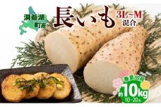 北海道産 長いも 春夏出荷 約10kg 2025年5月上旬～7月下旬お届け 長芋 ながいも とろろ 農作物 野菜 新鮮 根菜 山かけ 産地直送 お取り寄せ 送料無料 冷蔵 北海道 洞爺湖町