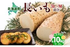 北海道産 長いも 春夏出荷 約10kg 2025年5月上旬～7月下旬お届け 長芋 ながいも とろろ 農作物 野菜 新鮮 根菜 山かけ 産地直送 お取り寄せ 送料無料 冷蔵 北海道 洞爺湖町