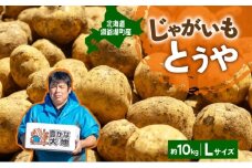 北海道産 青野農園 じゃがいも とうや Lサイズ 約10kg 10月初旬～12月下旬頃お届け 北海道 ジャガイモ トウヤ 馬鈴薯 ポテト 芋 いも イモ 黄色 旬 野菜 農作物 産地直送 お取り寄せ 送料無料