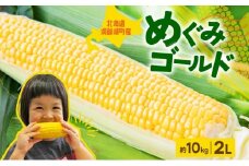 北海道産 青野農園 めぐみ ゴールド 2Lサイズ 約10kg 先行受付 スイートコーン 北海道 とうもろこし トウモロコシ コーン 恵味 旬 朝採れ 新鮮 野菜 農作物 産地直送 甘い 送料無料 国産