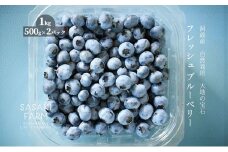 北海道 洞爺湖町産 フレッシュ ブルーベリー 500g 2パック 計1kg 7月25日から順次お届け 北海道産 ブルーベリー 果物 果実 フルーツ 新鮮 国産 ベリー 農作物 お取り寄せ 冷凍 長期 保存 送料無料