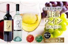 北海道 月浦ワイン 赤 白 ワイン 750ml×各1本 ドルンフェルダー ミュラートゥルガウ お酒 アルコール ブドウ酒 家飲み お祝い 贈答用 ギフト 月浦ワイナリー 送料無料