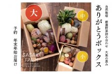 旬の野菜詰め合わせ ～ありがとうBOX2025・大～ 12月1日～1月31日頃お届け 北海道 野菜 やさい 詰め合わせ セット 北海道産 常備菜 加工品 自然栽培 佐々木ファーム 産地直送 洞爺湖町