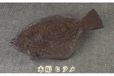 木彫　ヒラメ