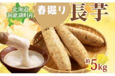 北海道 洞爺湖町産 春掘り 長芋 約5kg 先行受付 4月中旬～下旬にお届け 長いも ながいも 芋 山芋 山うなぎ とろろ ステーキ 千切り 万能 旬 秋 野菜 根菜 常温 塩田農園 洞爺湖町