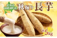 北海道 洞爺湖町産 秋掘り 長芋 約5kg 先行受付 2025年 11月中旬～下旬にお届け 長いも ながいも 芋 山芋 山うなぎ とろろ ステーキ 万能 旬 秋 野菜 根菜 常温 塩田農園