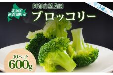 北海道 洞爺湖町産 ブロッコリー 計600g 60g 10袋 野菜 冷凍野菜 小分け 時短 簡単 調理 阿部自然農園 冷凍 北海道産 カット済み 一人暮らし 送料無料 洞爺湖町 