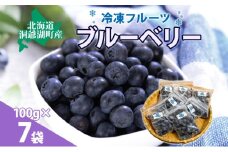 北海道産 ブルーベリー 100g 7袋 果物 果実 くだもの 冷凍食品 おやつ デザート ジュース ヨーグルト ジャム スイーツ 簡単 便利 一人暮らし 小分け 製菓 送料無料 冷凍 北海道 洞爺湖町