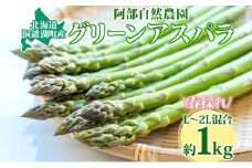 北海道 洞爺湖町産 グリーンアスパラ 約1kg L～2L混合 5月下旬頃お届け 2026 先行受付 路地 アスパラ アスパラガス 野菜 農作物 サラダ 天ぷら 新鮮 国産 人気 お取寄せ 産地直送 冷蔵 洞爺湖 