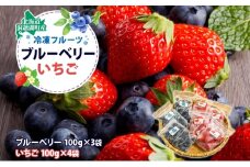 北海道産 冷凍果物2種 ブルーベリー 100g 3袋 いちご 100g 4袋 果物 果実 くだもの 赤い妖精 苺 冷凍食品 おやつ デザート スイーツ 簡単 便利 一人暮らし 小分け 製菓 冷凍 北海道 洞爺湖町
