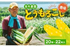 北海道産 とうもろこし 糖度20度以上 恵味 めぐみ 2L 20～22本 7月下旬～8月下旬頃お届け 先行受付 朝採り トウモロコシ スイート コーン 甘い 旬 夏 野菜 新鮮 産地直送 宮内農園 送料無料 洞爺湖町