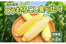 定期便 全2回 北海道産 朝採りとうもろこし 2種 食べ比べ 8月・9月 計2回お届け 恵味 めぐみ ゴールド ピュアホワイト トウモロコシ 先行受付 夏 野菜 新鮮 産地直送 塩田農園 送料無料 北海道 洞爺湖町