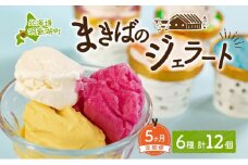 定期便 5ヵ月 連続 全5回 北海道 まきばのジェラート 6種  各2個 計12個 セット ジェラート ミルク 赤しそ カムイミンタルの塩 とうもろこし かぼちゃ 白花豆 アイスクリーム 保存料不使用 シャーベット アイス 牛乳 氷菓 スイーツ 送料無料