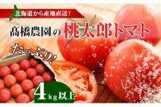 北海道 高橋農園 桃太郎トマト 4kg以上 M～Lサイズ (18玉～24玉) 5月下旬～9月上旬お届け 大玉トマト tomato 産地直送 農家直送 新鮮 野菜 安心 安全 とれたて 完熟 洞爺湖町 送料無料