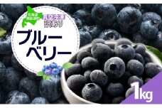 北海道 訳あり ブルーベリー 500g 2袋 計1kg 2025年 7月下旬より順次お届け 果物 果実 フルーツ 新鮮 国産 ベリー 農作物 お取り寄せ グルメ ギフト 冷凍 長期 保存 とうやMarche マルシェ