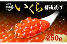 北海道産 いくら醤油漬け 250g 北海道 イクラ醤油漬け 小分け いくら 国産 イクラ 海鮮 魚介 魚卵 海産物 醤油漬け 鮭いくら 新鮮 寿司 刺身 おかず おつまみ 贅沢 お取り寄せ グルメ 贈り物 ギフト プレゼント