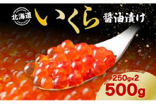 北海道 いくら醤油漬け 250g 2個 計500g 北海道 イクラ醤油漬け 小分け いくら 国産 イクラ 海鮮 魚介 魚卵 海産物 醤油漬け 鮭いくら 新鮮 寿司 刺身 おかず おつまみ 贅沢 お取り寄せ グルメ 贈り物 ギフト