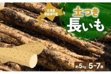 北海道産 青野農園 土つき 長いも 約5kg 5～7本 11月下旬～12月下旬ごろお届け ながいも 土付き 北海道 長芋 自然薯 とろろ いも イモ 旬 野菜 農作物 産地直送 お取り寄せ 送料無料