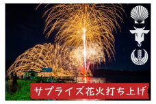 洞爺湖温泉 サプライズ 花火打ち上げ券