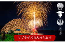 洞爺湖温泉 サプライズ 花火打ち上げ券