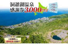 洞爺湖温泉感謝券 3000円 分 金券 クーポン 洞爺湖 湖 温泉 リゾート 有珠山 火山 自然 花火 イルミネーション 旅行 観光 宿泊 施設 北海道