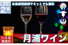 月浦ワイン2本セット（白・赤750ml）7月～9月配送［冷蔵］白・赤ワイン