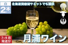 月浦ワイン 白750ml×2本  7月～9月配送［冷蔵］白ワイン
